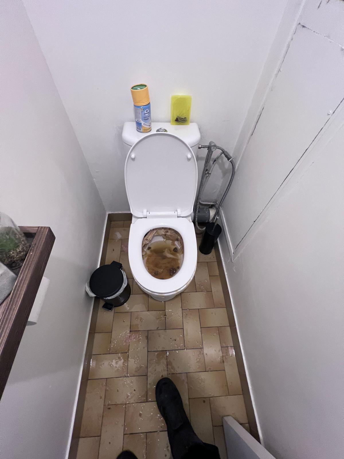 WC bouch&eacute; avant d&eacute;bouchage Goussainville