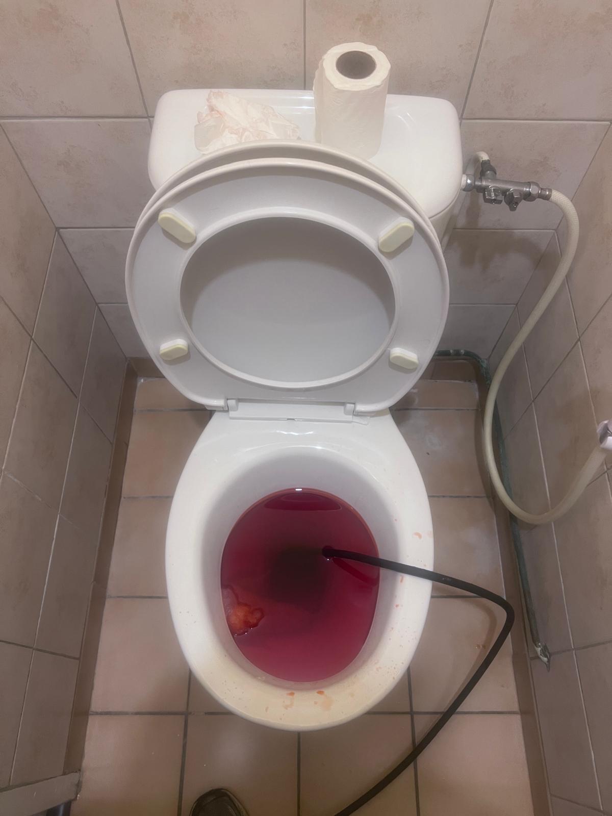 Canalisation WC bouch&eacute;e