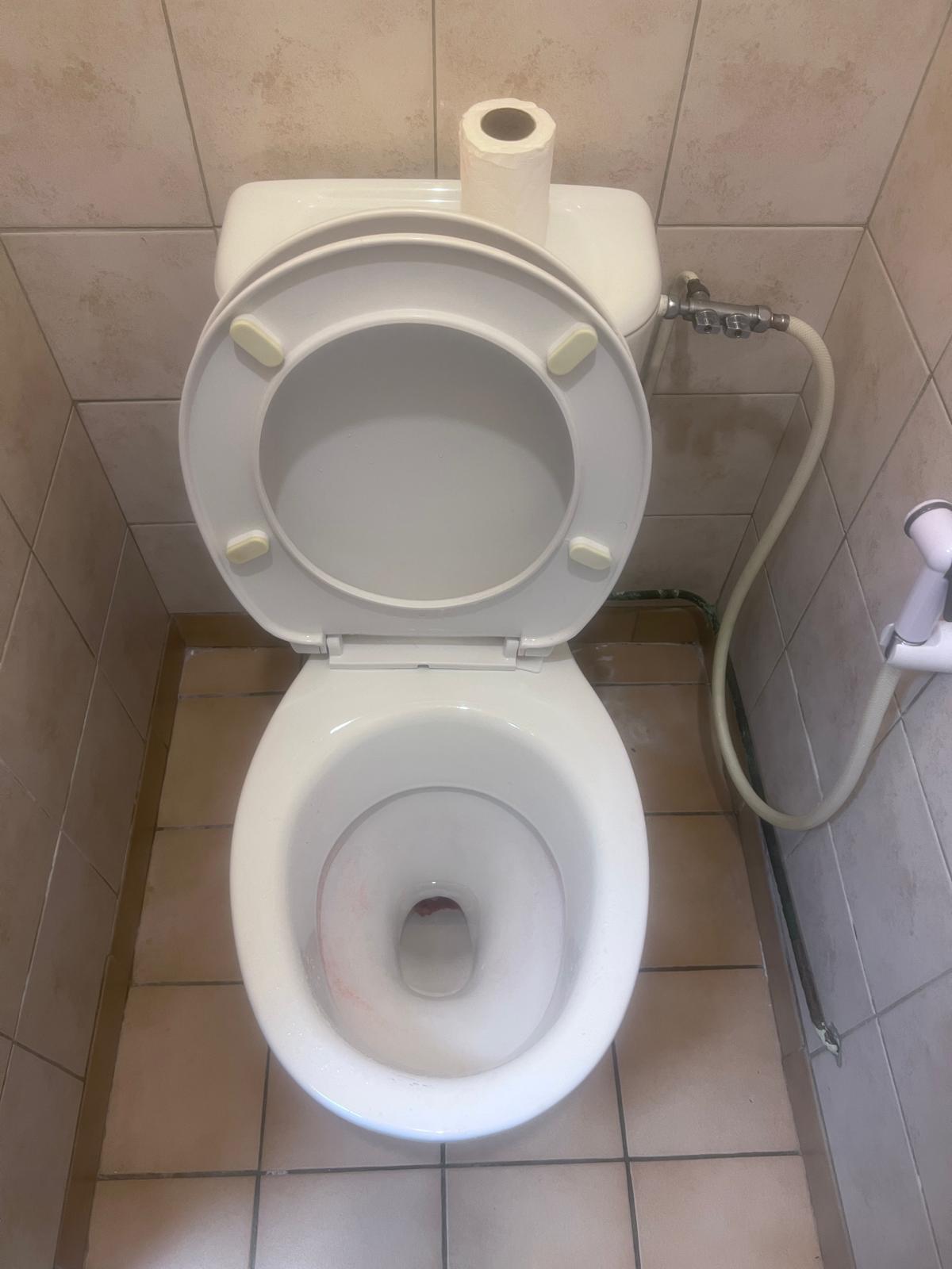 Canalisation WC d&eacute;bouch&eacute;e