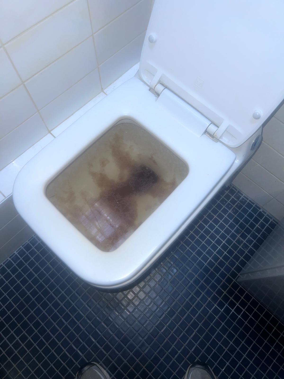 Canalisation bouch&eacute;e avant d&eacute;bouchage Goussainville