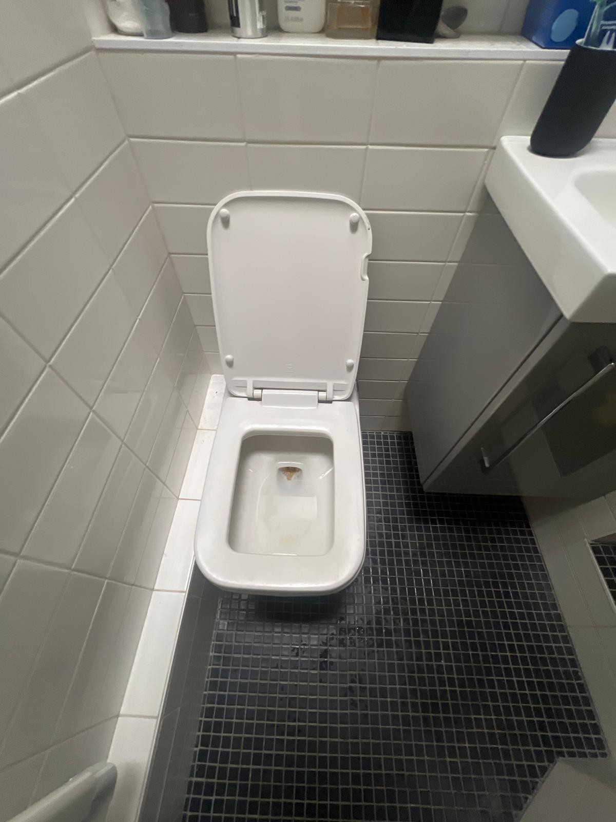 Canalisation d&eacute;bouch&eacute;e Goussainville