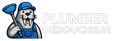 Plumber Déboucheur
